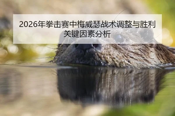 2026年拳击赛中梅威瑟战术调整与胜利关键因素分析