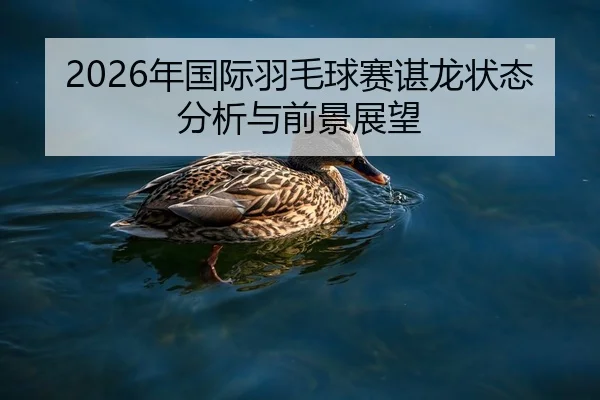 nian-guo-ji-yu-mao-qiu-sai-chen-long-zhuang-tai-fen-xi-yu-qian-jing-zhan-wang-2-728.jpg