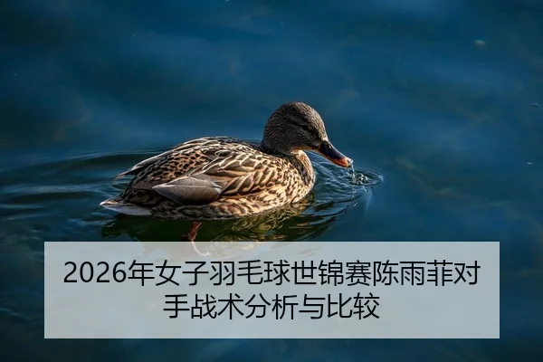 2026年女子羽毛球世锦赛陈雨菲对手战术分析与比较