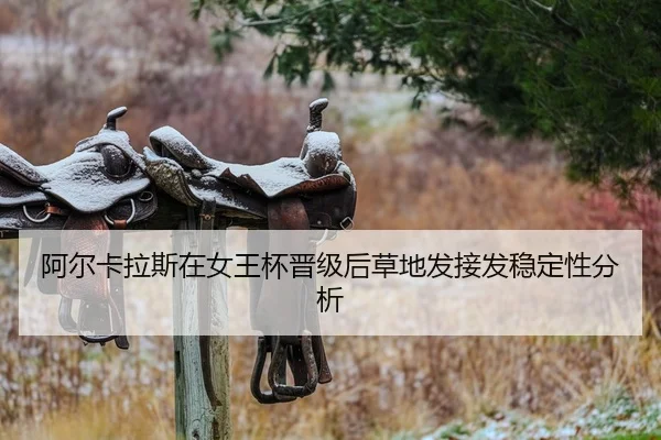 a-er-ka-la-si-zai-nv-wang-bei-jin-ji-hou-cao-di-fa-jie-fa-wen-ding-xing-fen-xi-2-319.jpg