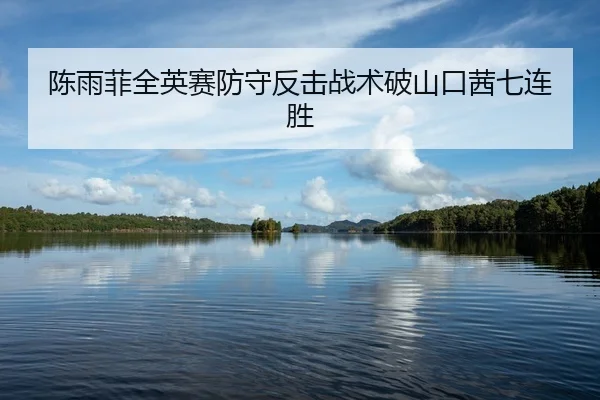 陈雨菲全英赛防守反击战术破山口茜七连胜